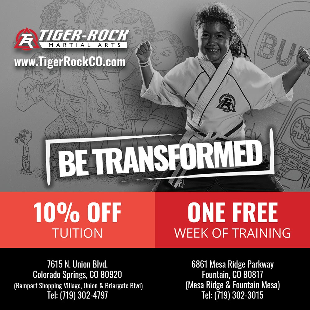 Tiger Rock Martial Arts - 